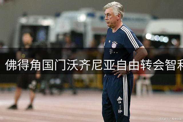 佛得角国门沃齐尼亚自由转会智利豪门 开启南美新征程