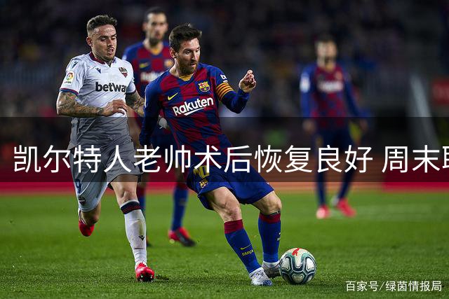凯尔特人老帅术后恢复良好 周末联赛临场指挥存变数